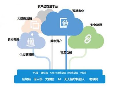 帝隆科技 數字農業(yè)賦能供應鏈管理，助推農業(yè)產業(yè)高效發(fā)展